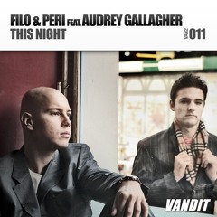 This Night (Radio Edit) [feat. Audrey Gallagher]
