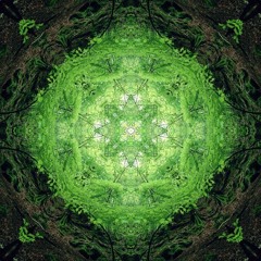 B.e.n. - "Psychedelic Bliss" - Part 2/7 ( Psy-Trance ) - 18h mix of Ultimate Trance Experience
