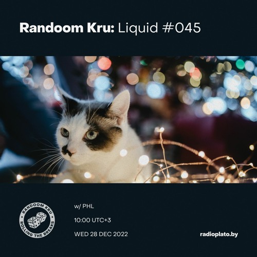 Liquid #045 w/ PHL