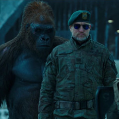 gorillaape pt2 * 72shinji