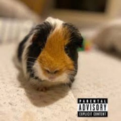 juoskaa karkuun (feat. dragonX)