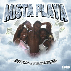 MISTA PLAYA — STEREO INTERLUDE