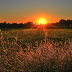 Yellow Sun, Dawning
