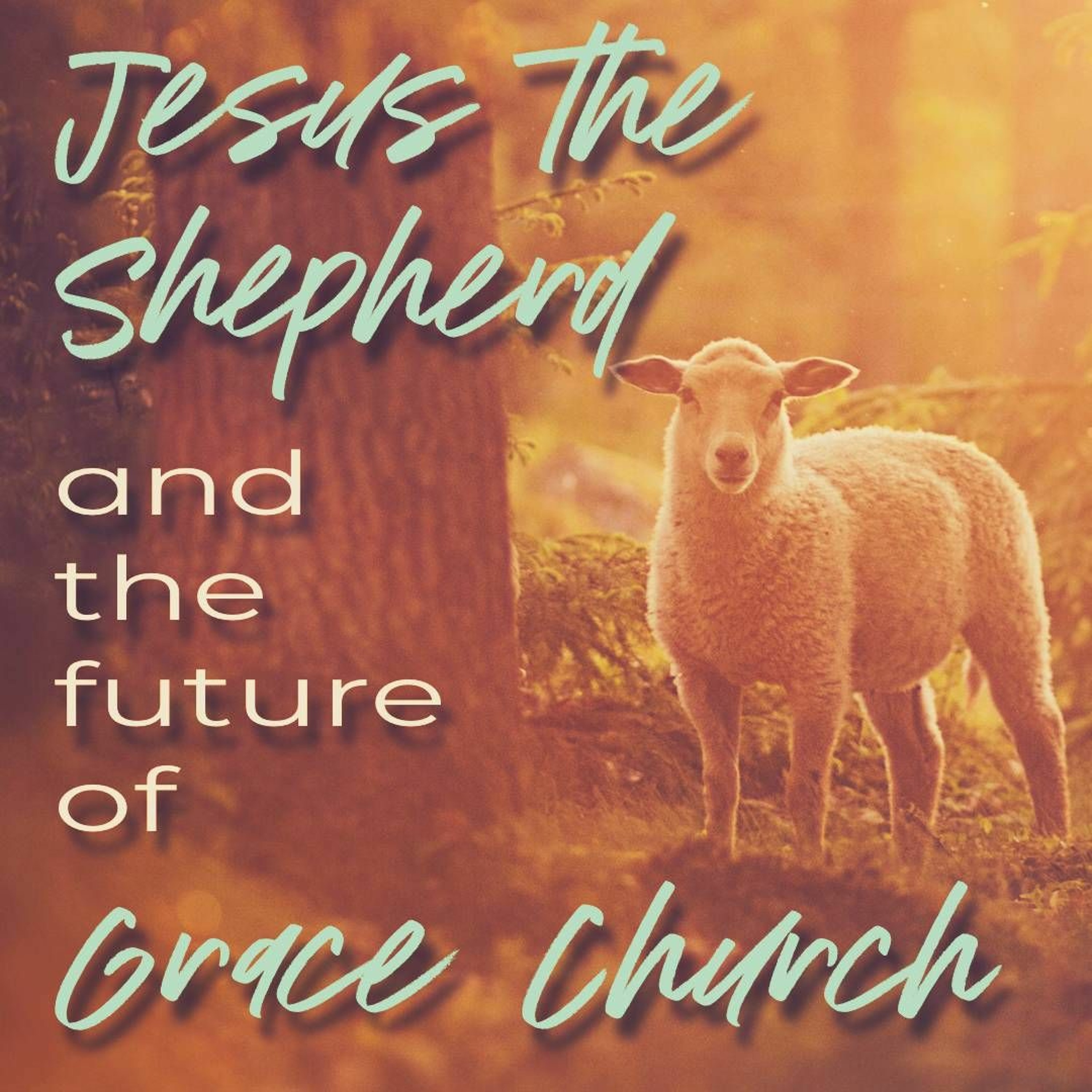 Christoph Windler: Jesus the Shepherd and the Future of Grace Church (John 10:1-30) episode artwork