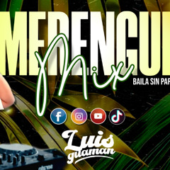 MERENGUE MIX #1 🔥 DJ LUIS GUAMAN (ALTO VOLTAJE, HERMANOS ROSARIO, WILFRIDO VARGAS, LOS MELODICOS)