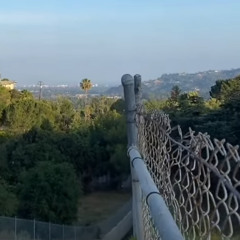hi