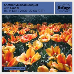 Another Musical Bouquet - Akanbi - 14 Dec 2023