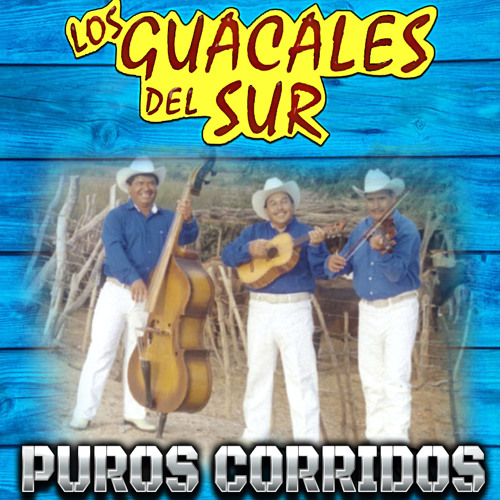 Stream El Corrido de Durango by Los Guacales Del Sur Con Violin Y Tololoche  | Listen online for free on SoundCloud