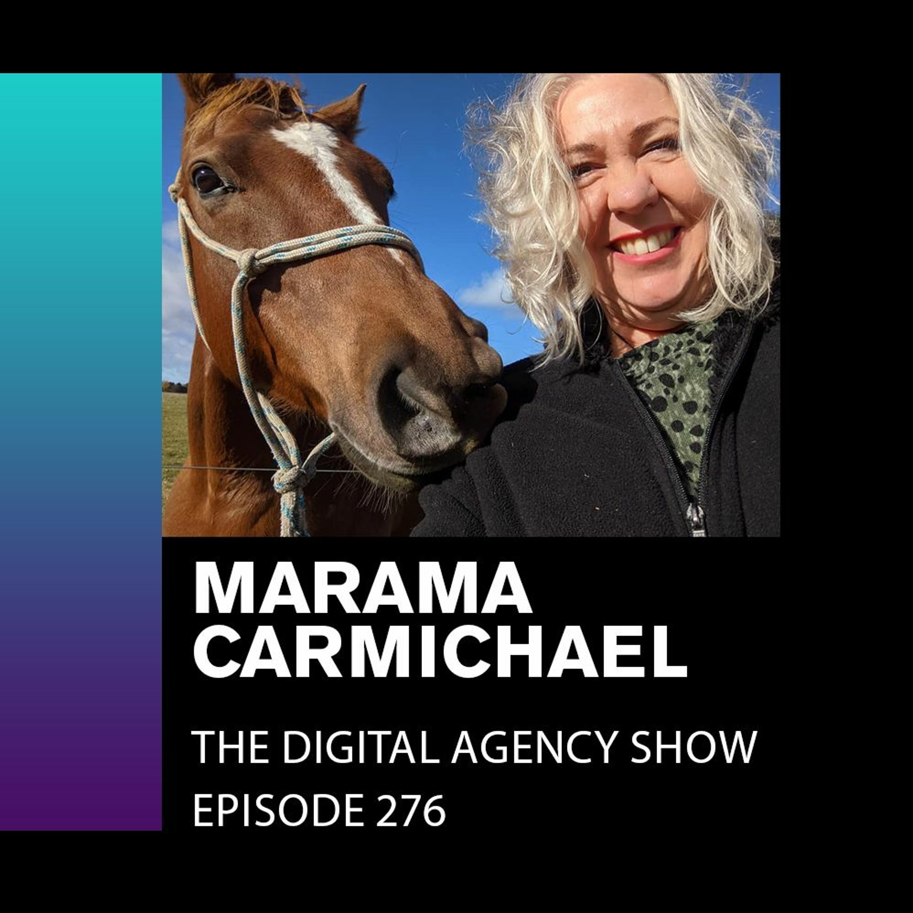 The Digital Agency Show | Helping Agency Owners Transform Their Business Mindset to Increase Prices, Work Less, and Grow Profits
