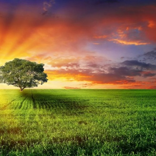 Ans  music FREE DOWNLOAD