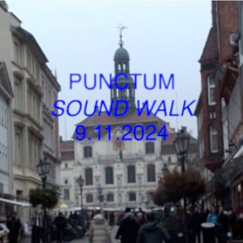 electromagnetic sensor field recordings 20251109 (punctum soundwalk)