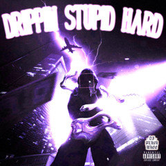 DRIPPIN STUPID HARD | DJ PLAYAMACC