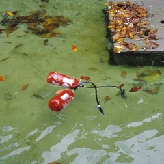 #2 My garden is full of tears