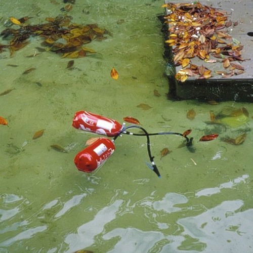 #2 My garden is full of tears