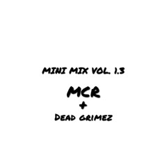 MINI MIX 1.3 (FT. MCR)