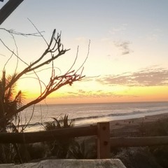 CopalSunsets