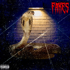 FAKES (feat. Duce Tro)