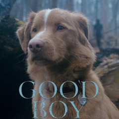 Good Boy (2025) - Movie Review