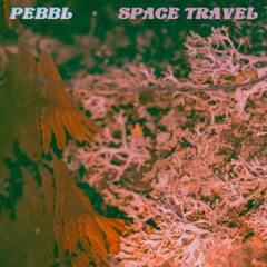 Pebbl - Space Travel