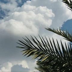 موال يا عود وين الصدق - كاظم الساهر