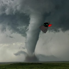 Twister