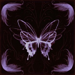 бабочки /w flavless