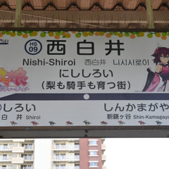 HINA NISHI-SHIROI