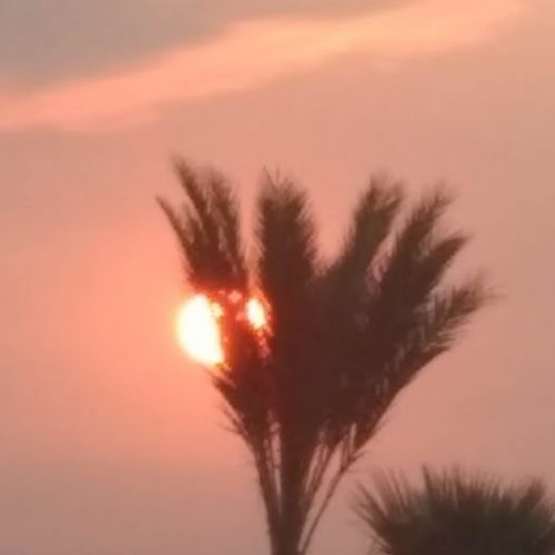 Loop Diggers Roulette Challenge 6 - A N G E L I C