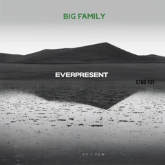 Everpresent STBB #939