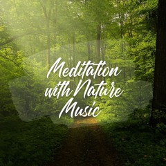 Copy of Related tracks: Meditation with Nature, Pt. 26
