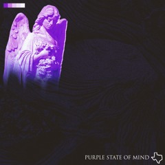 Purple State Of Mind [Prod. TORYONTHEBEAT]