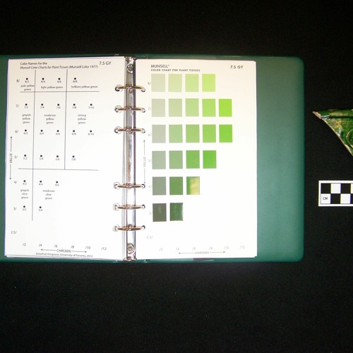 Stream Munsell Plant Tissue Color Charts 49.pdf by Chelsea Listen
