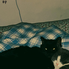 N0 4l1b1 (PROD. Grave Pact 120 Emin)