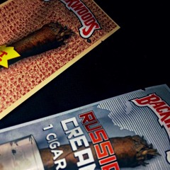 Corpus Reg Ft. L.S.H