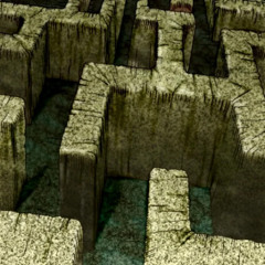 The Wall