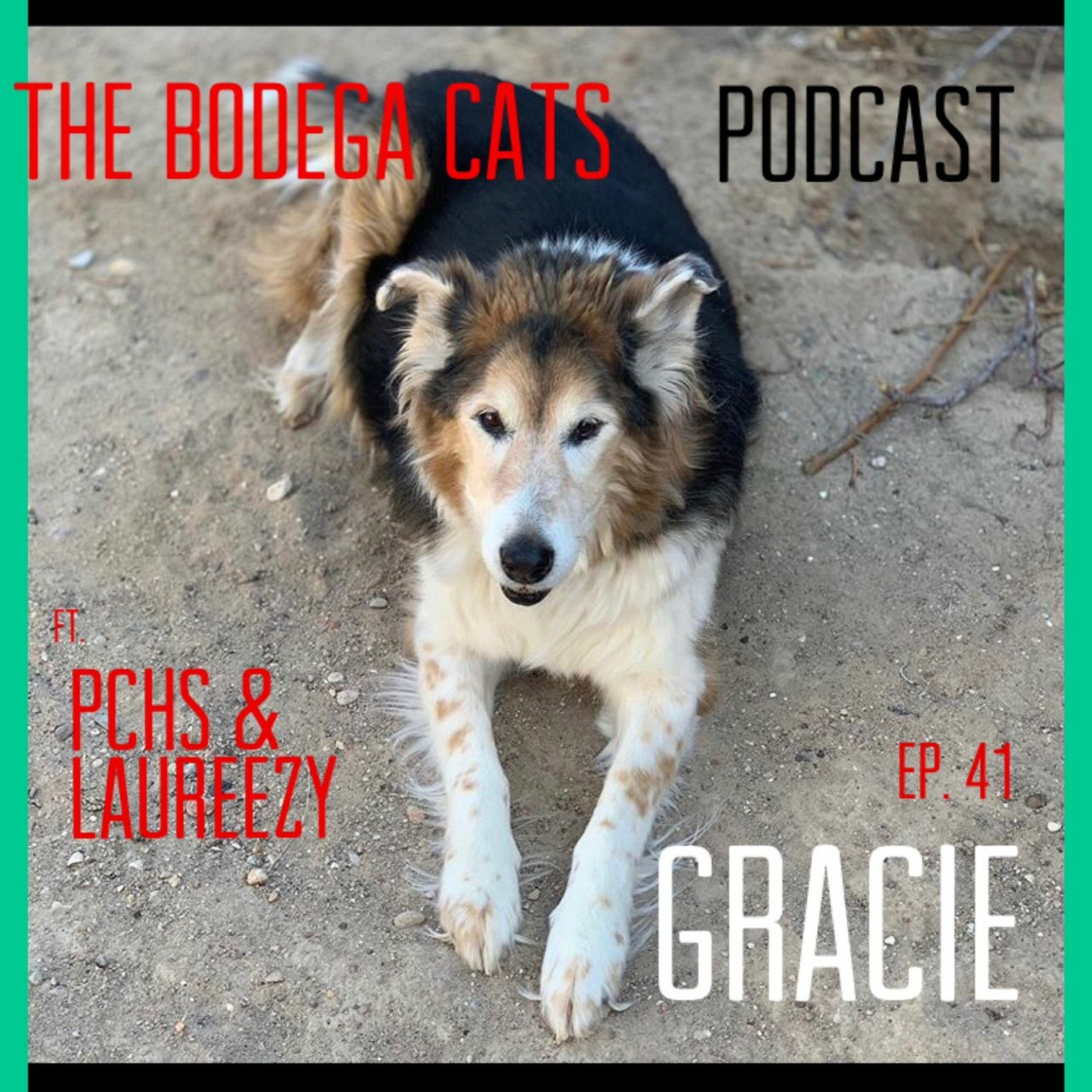 The Bodega Cats Podcast