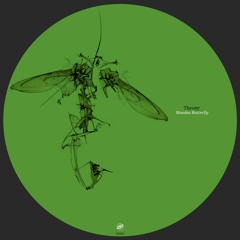 Premiere: Theony - Hibernate