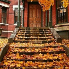 Falling Leaves On The Doorstep Of Winter