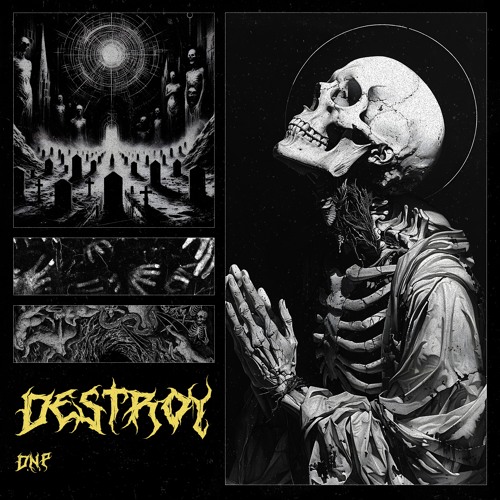 D.N.P - DESTROY