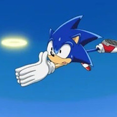 @samfloraa * SONIC THE HEDGE H0G