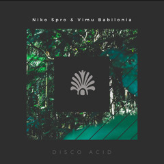 Niko Spro & Vimu babilonia - Disco Acid