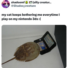 Indoor Beat (Sleepy mix)