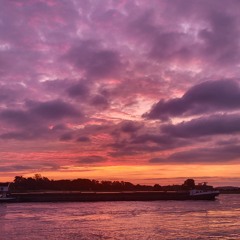 Glücksgefühle 🖤