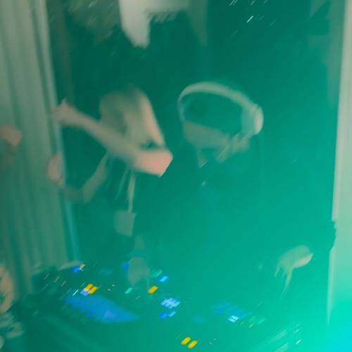 Sometimes kitties play house