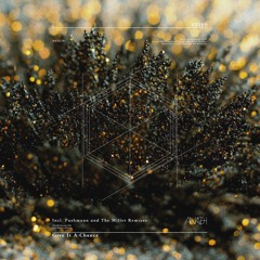 [ANA118] STIPP -  Give It A Chance w/ Pushmann & The Miller Remixes *Previews*