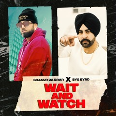 Wait And Watch - Shakur Da Brar & Byg Byrd