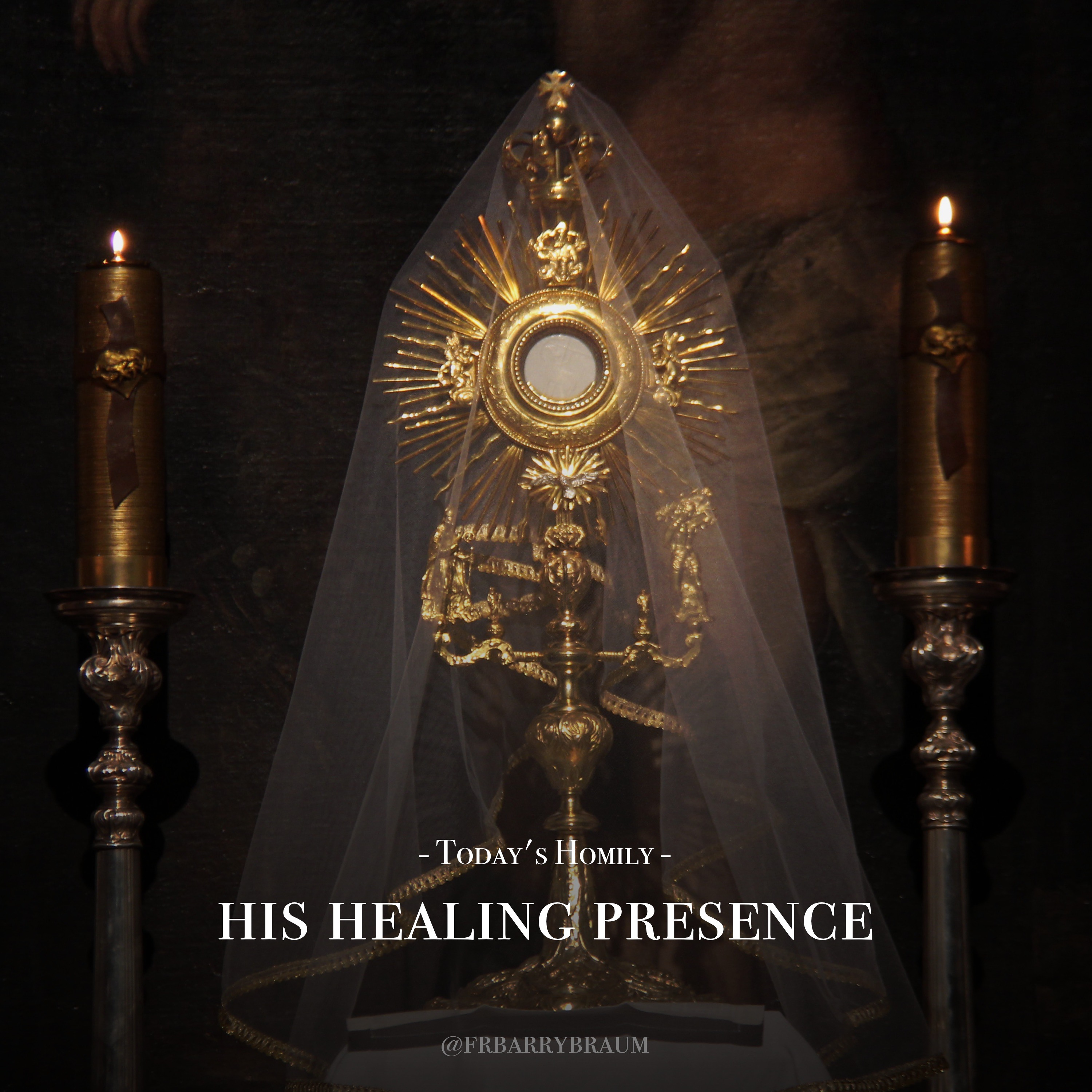 Fr. Barry Braum - Homilies and Conferences