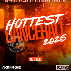 Hottest Dancehall 2025 - Dj Trick (Aktion One Sound)