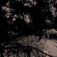 Unsigned Track:  'AMS-02' (Low Res @ 128Kbps)