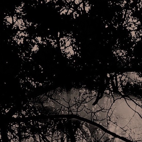 Unsigned Track:  'AMS-02' (Low Res @ 128Kbps)